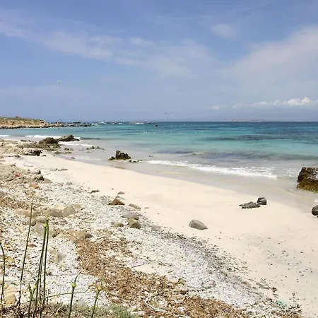 Alto Mare - Sa Murta * Torre Grande