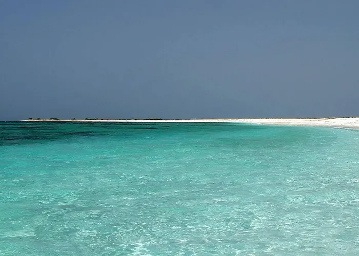 Apartment Alto Mare - Sa Murta